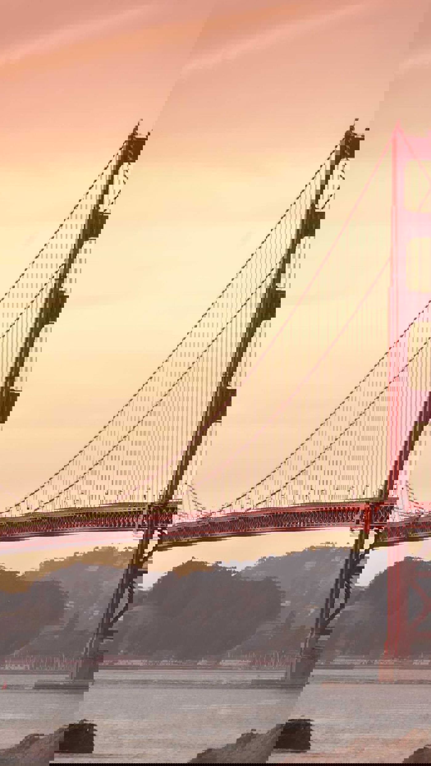 Title tekst NL Alt tekst NL